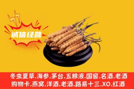 酒泉回收冬虫夏草